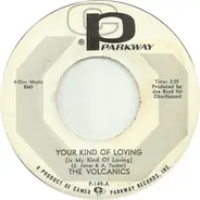 The Volcanics - Your Kind Of Loving (Is My Kind Of Loving)