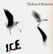 The Rose Of Avalanche - I.C.E.
