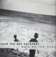 Toad The Wet Sprocket - Walk On The Ocean