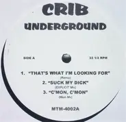 Missy Elliott, Lil' Kim a.o. - Crib Underground
