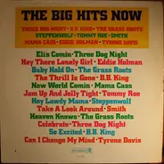 Mama Cass Elliot, Tommy Roe a.o. - The Big Hits Now