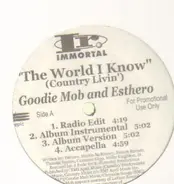 Goodie Mob / Dead Prez - The World I Know/Sellin' D.O.P.E.