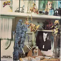 Brian Eno - Here Come the Warm Jets