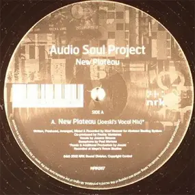 Audio Soul Project - New Plateau