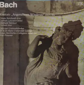 J. S. Bach - Kantate 'Angenehmes Wiederau' BWV 30a