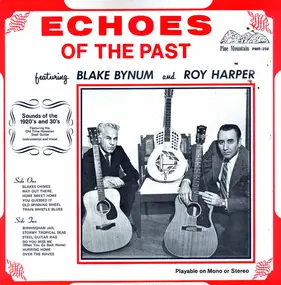 Roy Harper - Echoes Of The Past