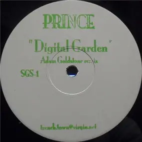 Prince - Digital Garden (Adam Goldstone Remix)