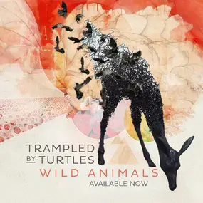 Trampled by Turtles - Wild Animals