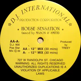 Various Artists - House Sensation