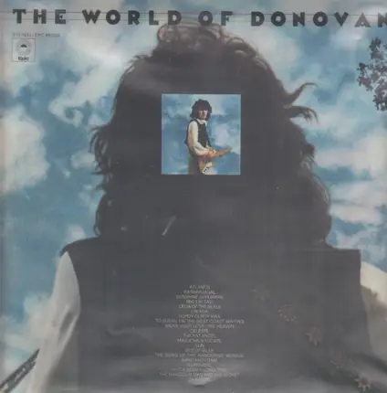 #<Artist:0x00007f9d8556ff98> - The World Of Donovan