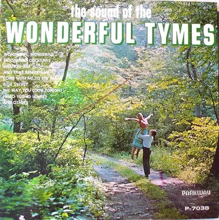 #<Artist:0x00007f48db953ac8> - The Sound Of The Wonderful Tymes
