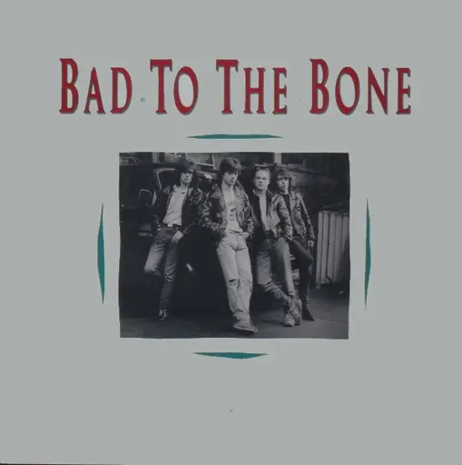 Bad to the bone песня. Bad Bone. Bad to the Bone. Bad to the Bonehead обложка. Bad TOTHR Bone.