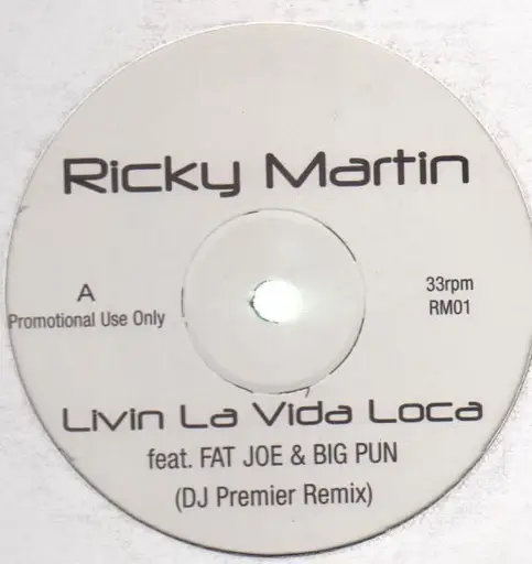 Livin La Vida Loca Ricky Martin Vinyl Cd Recordsale