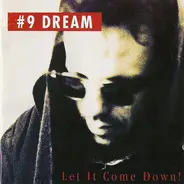 #9 Dream - Let It Come Down!