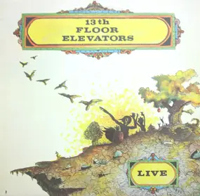 The 13th Floor Elevators - Live