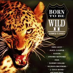 Various Artists - Born to Be Wild-Vol.2 - 18 Rock Classics
