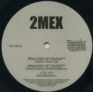 2Mex - Selections From 'Sweat Lodge Infinite'