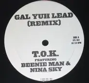 T.O.K. feat Beenie Man & Nina Sky - Gal Yuh Lead (Remix)