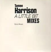 Tamee Harrison - A Little Bit (Mixes)