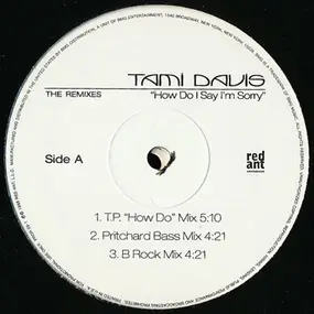 Tami Davis - How Do I Say I'm Sorry (The Remixes)