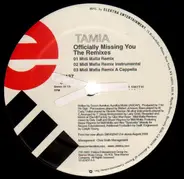 Tamia - Officially Missing You (The Remixes)