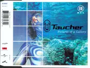 Taucher - Pictures Of A Gallery