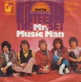 The Tee Set - Mr. Music Man