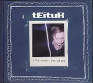Teitur - Stay Under the Stars