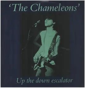 The Chameleons - Up The Down Escalator