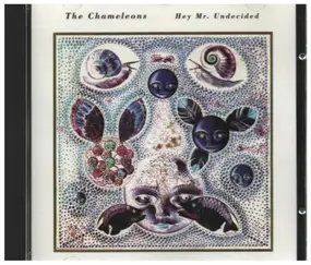 The Chameleons - Hey Mr. Undecided