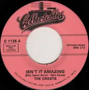 The Crests - Isn't It Amazing / Molly Mae