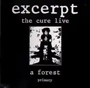 The Cure - Excerpt - The Cure Live