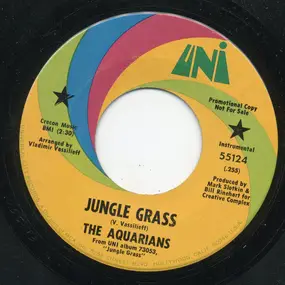 The Aquarians - Jungle Grass / Adela