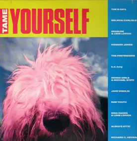 Various Artists - Tame Yourself