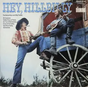 The The - Hey, Hillbilly