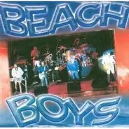 The Beach Boys - Live Hits Collection