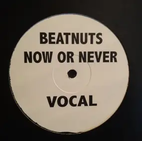 The Beatnuts - Now Or Never