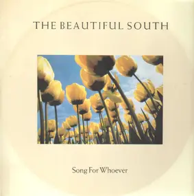 The Beautiful South - Song For Whoever