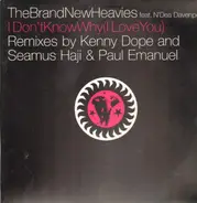 The Brand New Heavies feat. N'Dea Davenport - I Don't Know Why