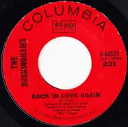 The Buckinghams - Back In Love Again
