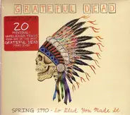 The Grateful Dead - Spring 1990: So Glad You Made It