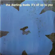 The Darling Buds - It's All Up To You