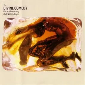 The Divine Comedy - Perfect Lovesong