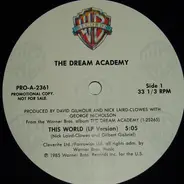 The Dream Academy - This World