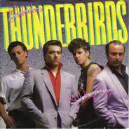 The Fabulous Thunderbirds - Wrap It Up