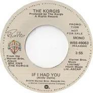 The Korgis - If I Had You