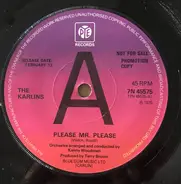 The Karlins - Please Mr Please