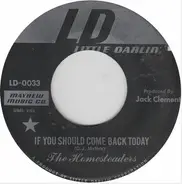 The Homesteaders - If You Should Come Back Today / Homesteadin'