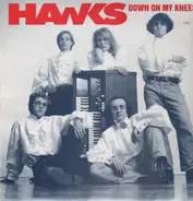 The Hawks - Down On My Knees