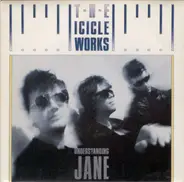 The Icicle Works - Unders?anding Jane